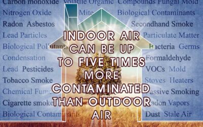 What are the Trends in Indoor Air Quality And Their Effects On Human Health?